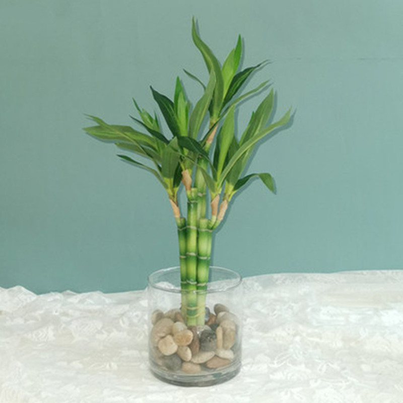 Desk Setup Plant - New 40cm rFtificial Lucky Bamboo Succulent