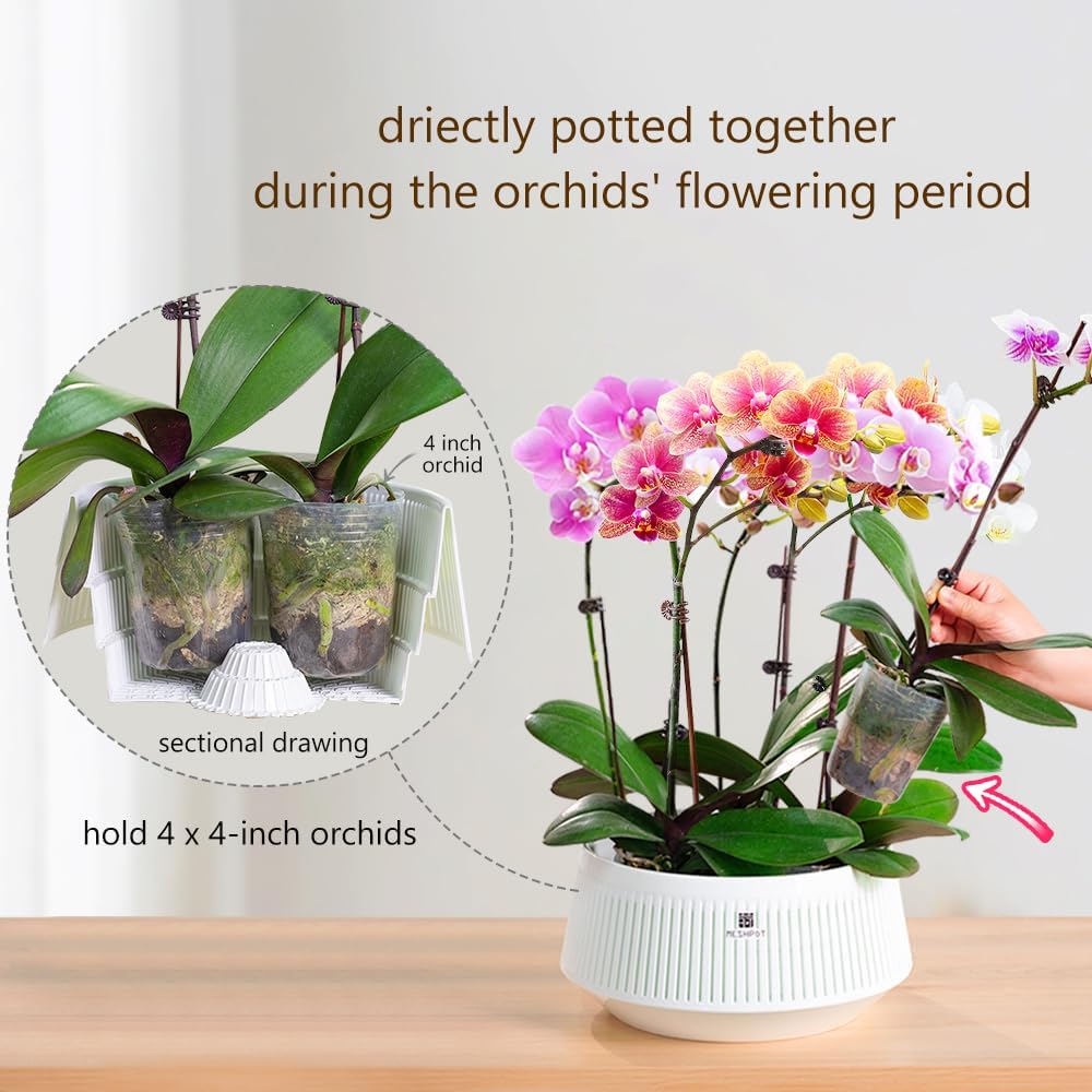 Meshpot Orchid Pot with Holes  - Desk Setup Plant 评论和价格