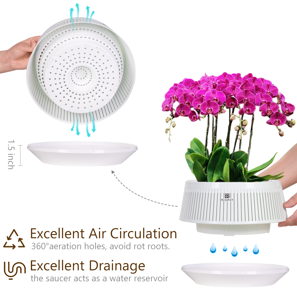 Meshpot Orchid Pot with Holes  - Desk Setup Plant 评论和价格