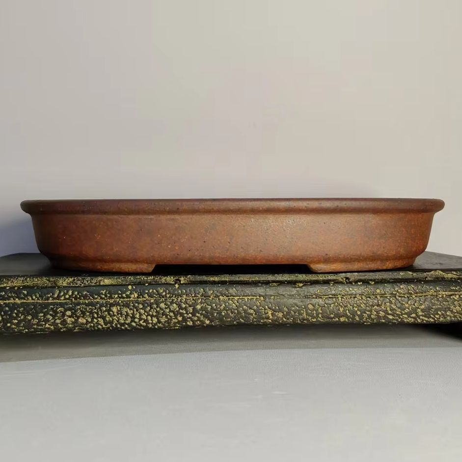 Oval Shaped Unglazed Shallow F - Desk Setup Plant 评论和价格