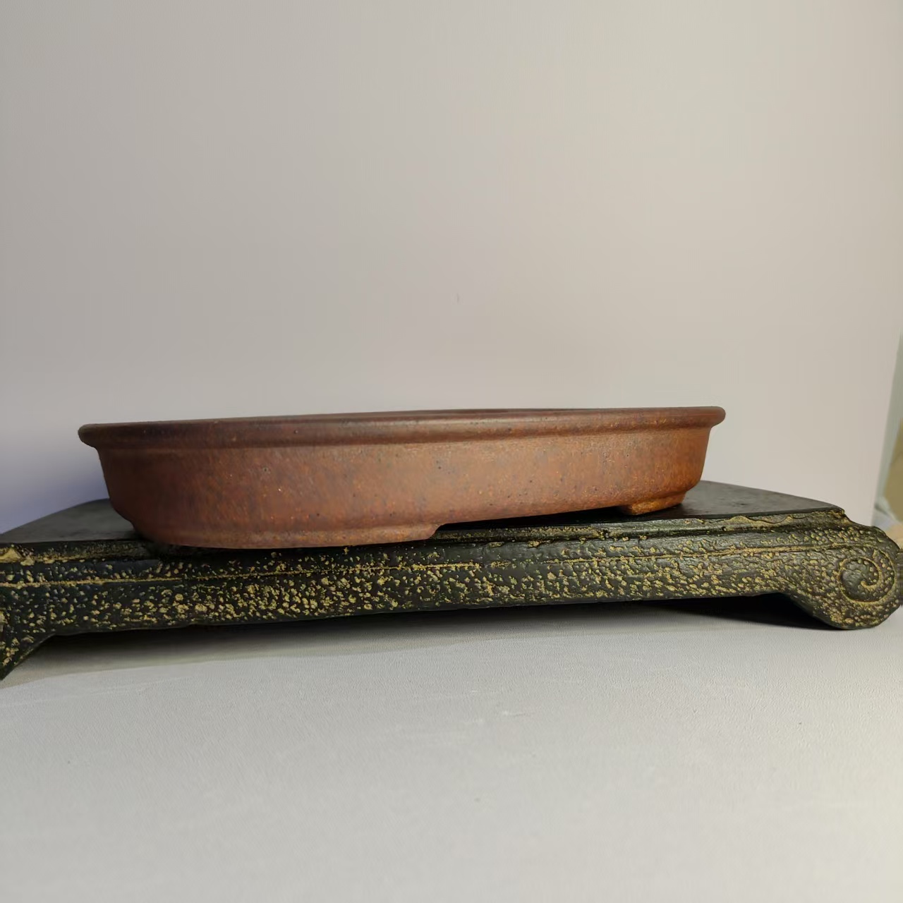 Oval Shaped Unglazed Shallow F - Desk Setup Plant 评论和价格