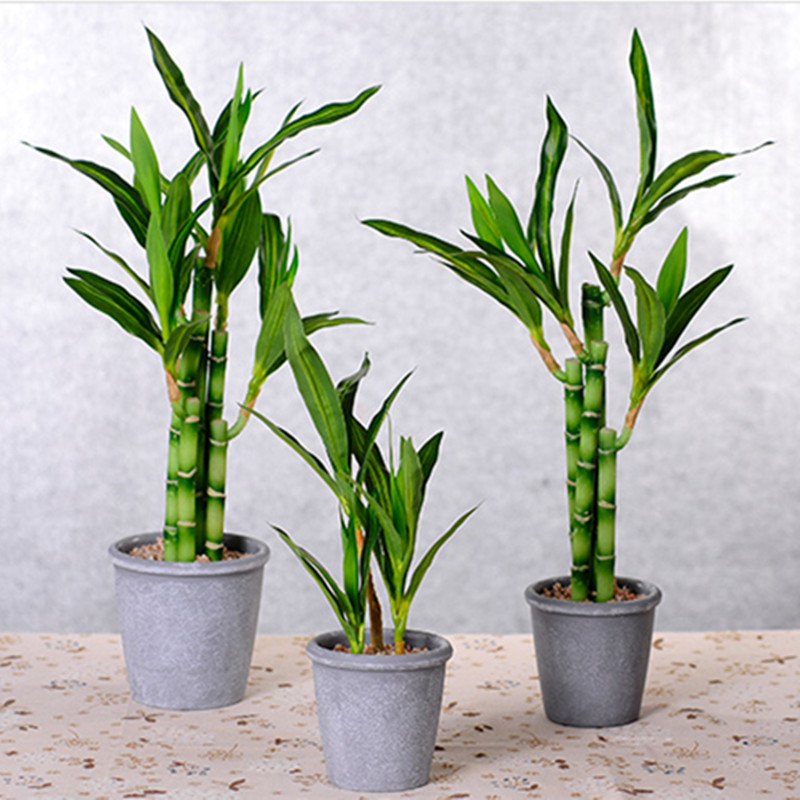 New 40cm rFtificial Lucky Bamb - Desk Setup Plant 评论和价格