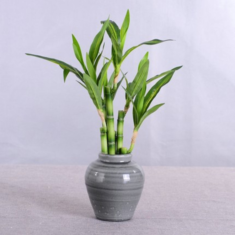New 40cm rFtificial Lucky Bamb - Desk Setup Plant 评论和价格