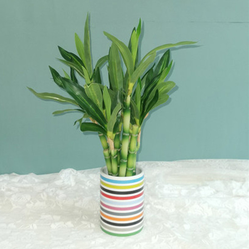 New 40cm rFtificial Lucky Bamb - Desk Setup Plant 评论和价格