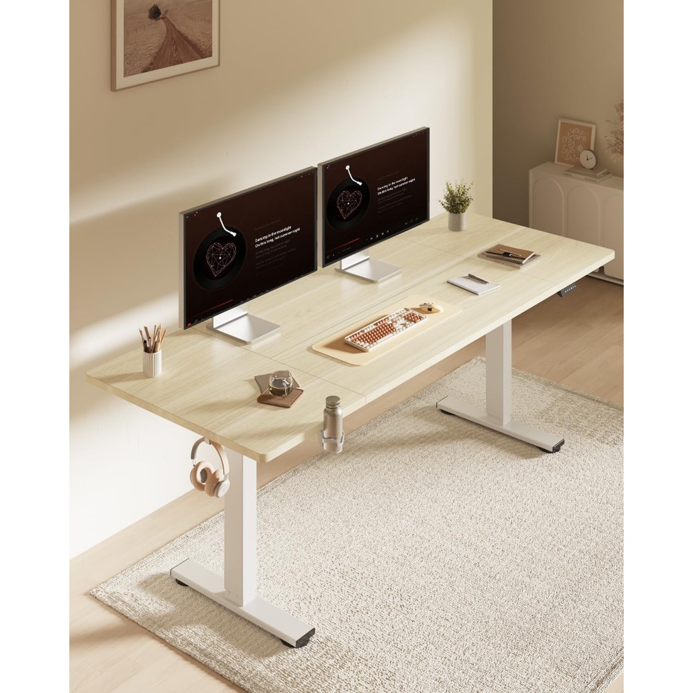FLEXISPOT 63x32 Inch Electric  - Setup Desk Monitor 评论和价格