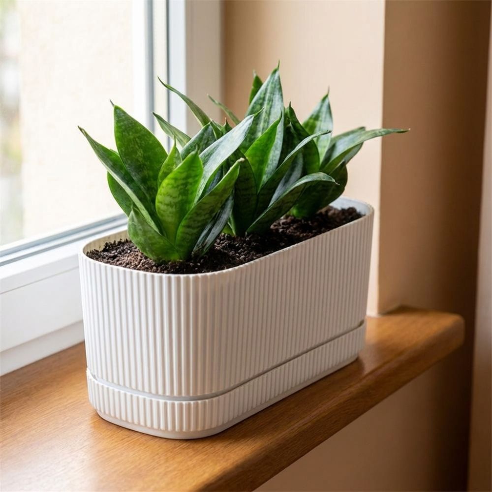 Plastic Self Watering Flower P - Desk Setup Plant 评论和价格