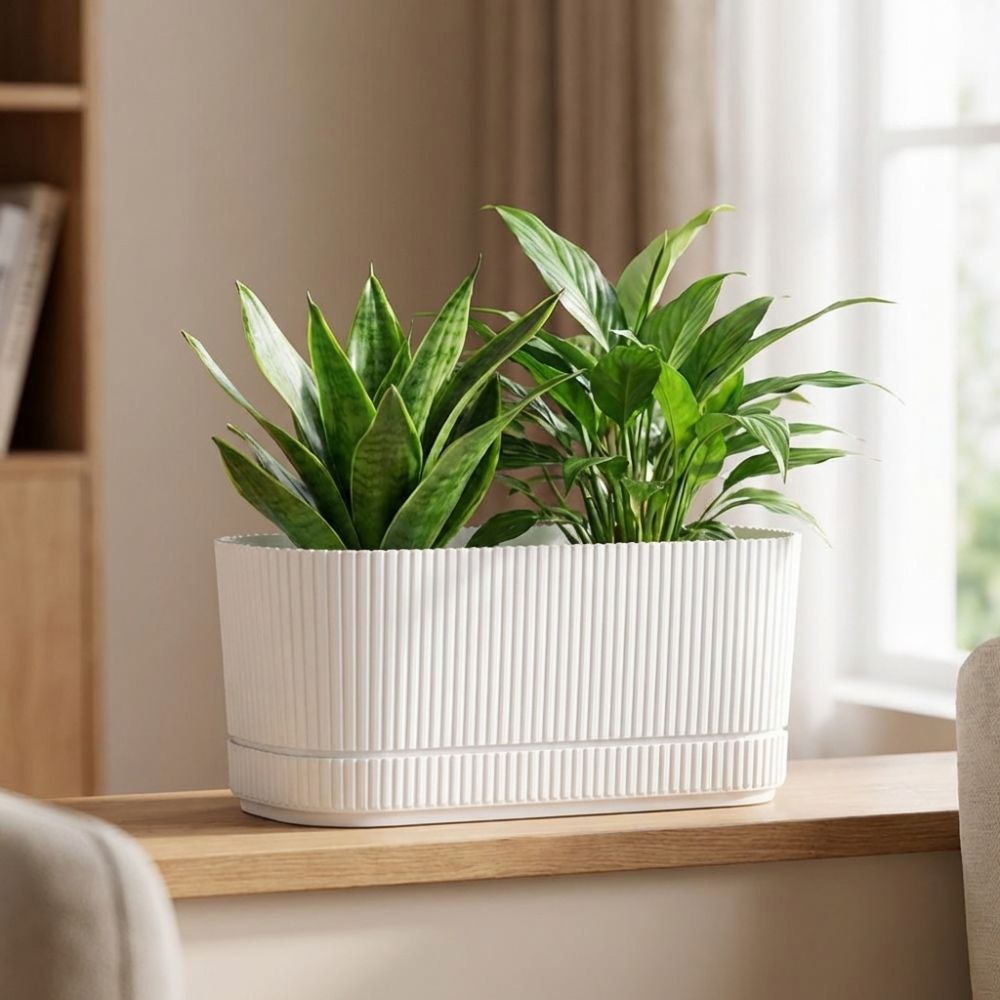 Plastic Self Watering Flower P - Desk Setup Plant 评论和价格