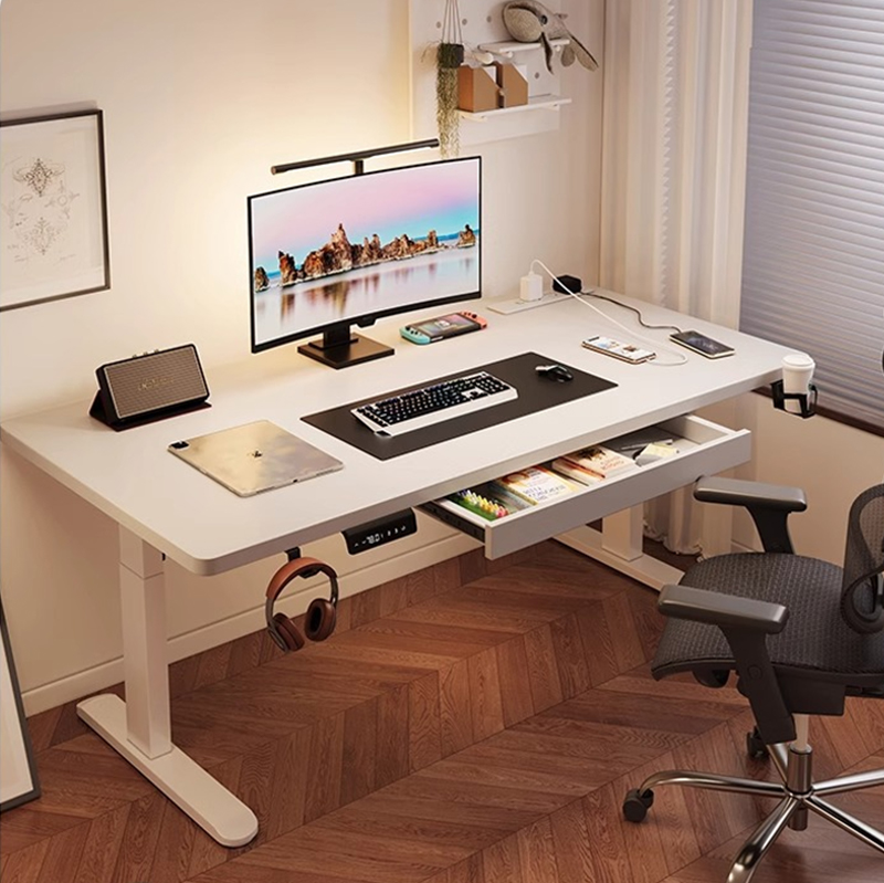 Modern Iron Dual Motor Electri - Setup Desk Monitor 评论和价格