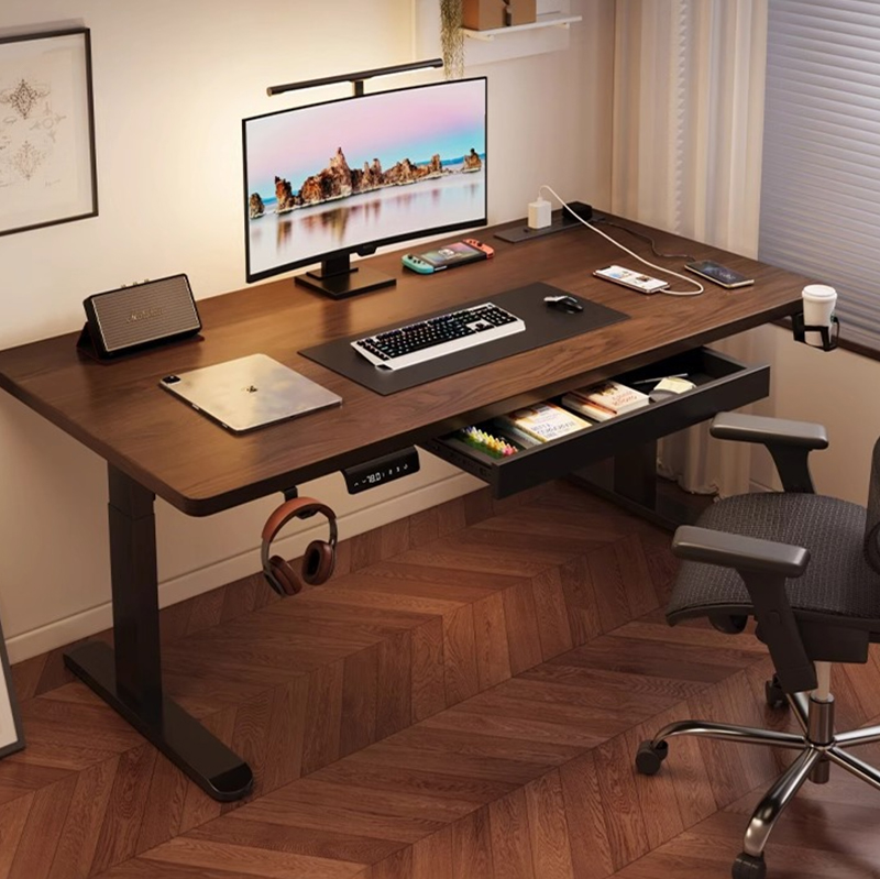 Modern Iron Dual Motor Electri - Setup Desk Monitor 评论和价格