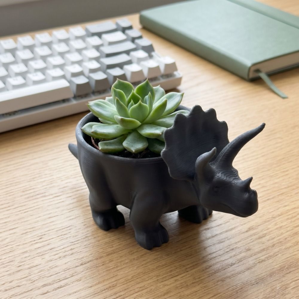 Container 3D Printed Dinosaur  - Desk Setup Plant 评论和价格