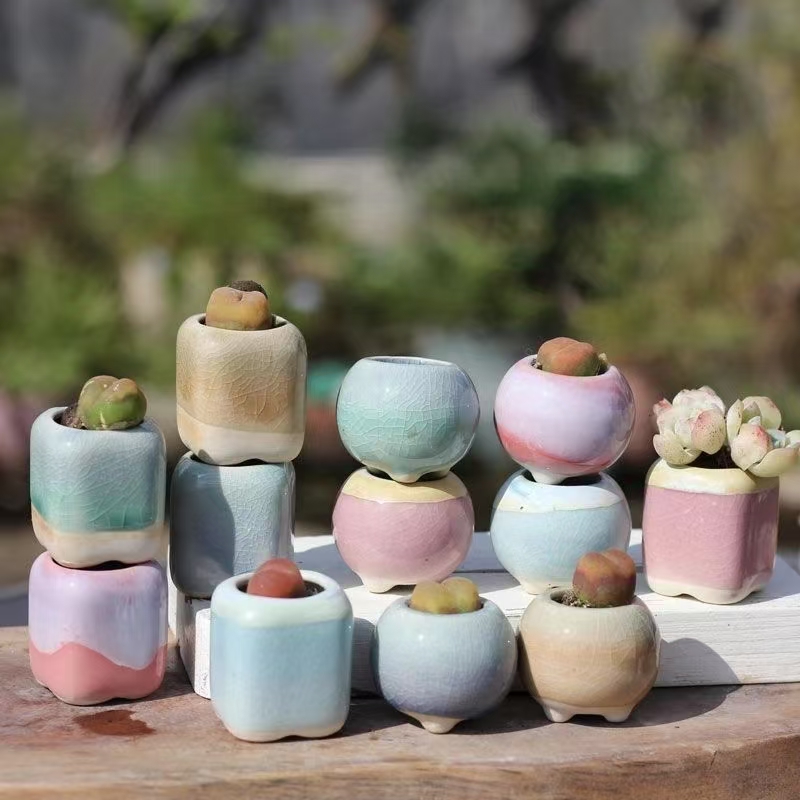 6Pcs Mini Flowerpot Succulents - Desk Setup Plant 评论和价格