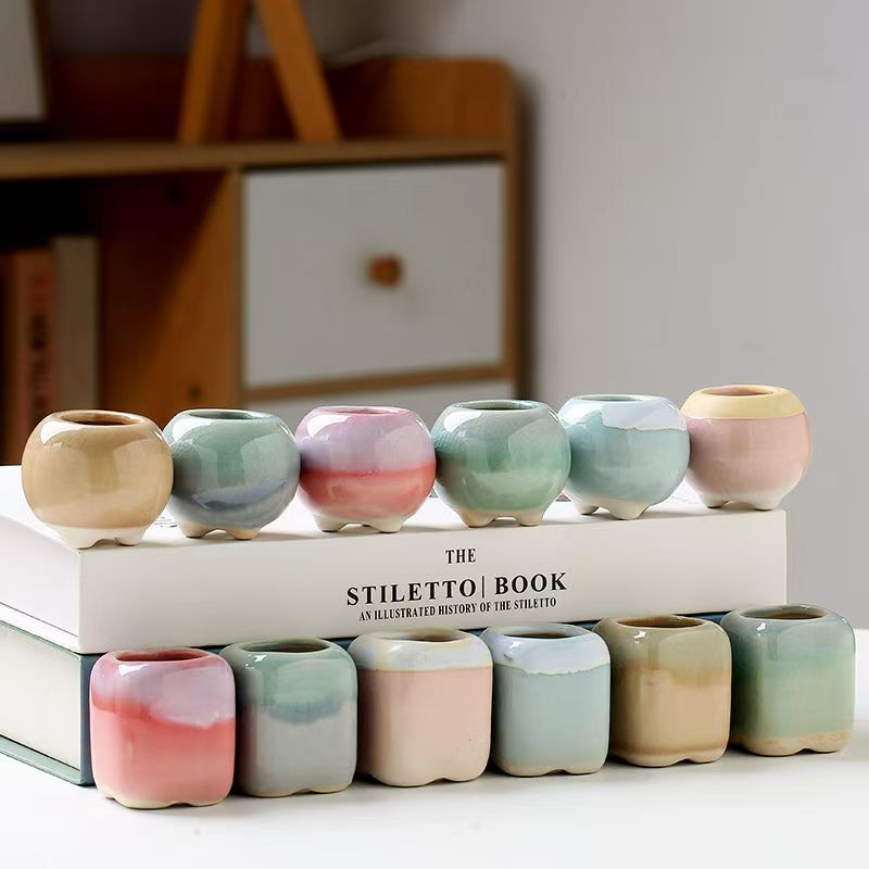 6Pcs Mini Flowerpot Succulents - Desk Setup Plant 评论和价格